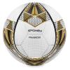 Spokey PROGRESS Fotbalový míč, vel. 5
