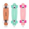Tempish BUFFY NATURE pennyboard