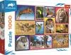 Trefl PUZZLE Animal Planet Divoká příroda 68x48cm skládačka 1000 dílků