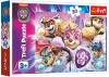 Trefl PUZZLE Hrdinové města Tlapková Patrola 27x20cm 30 dílků skládačka