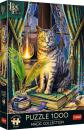 Trefl PUZZLE Magic Collection Kniha stínů 48x68cm skládačka 1000 dílků