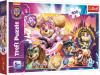Trefl PUZZLE Tlapková patrola Mocní psí hrdinové 41x28cm skládačka 100 dílků