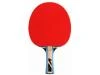 V3tec Pálka na stolní tenis V3 Tec Vtec 300 TT Bat 2.0 V3tec Pálka na stolní tenis V3 Tec Vtec 300 TT Bat 2.0