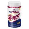 Vitar veterinae Artivit Pegas MSM 720 g