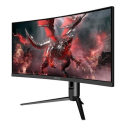 Monitory