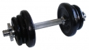 Fitness