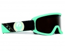 Snowboard