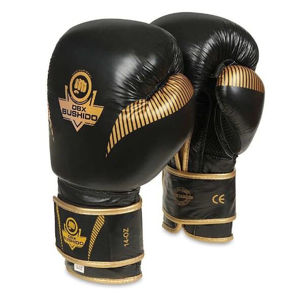 Levně BUSHIDO Boxerské rukavice DBX B-2v13 - 10oz.