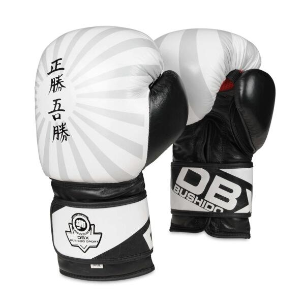 Levně BUSHIDO Boxerské rukavice DBX B-2v8 - 10oz