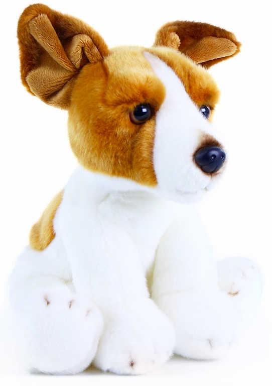 PLYŠ Pes Jack Russell teriér sedící 28cm exkluzivní kolekce (plyšová hračka)