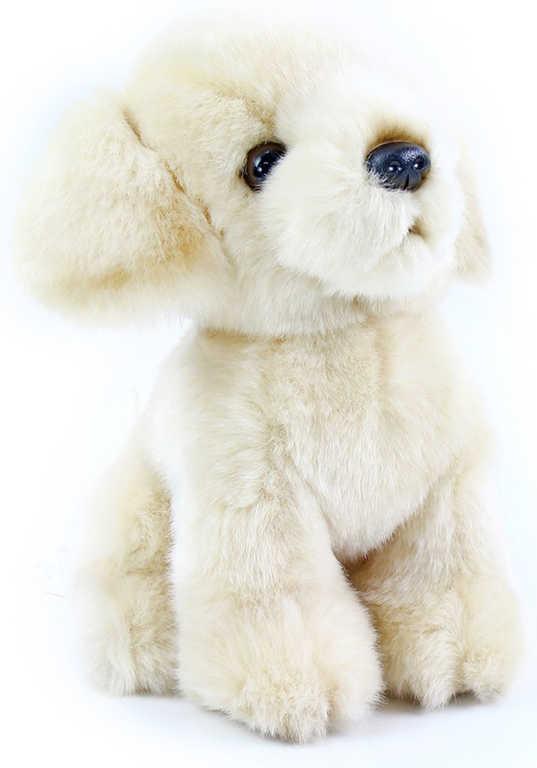 PLYŠ Pes Labrador 18cm bílý (plyšová hračka)