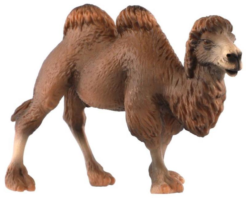 Velbloud dvouhrbý 12cm zvířátko plastová figurka Zooted