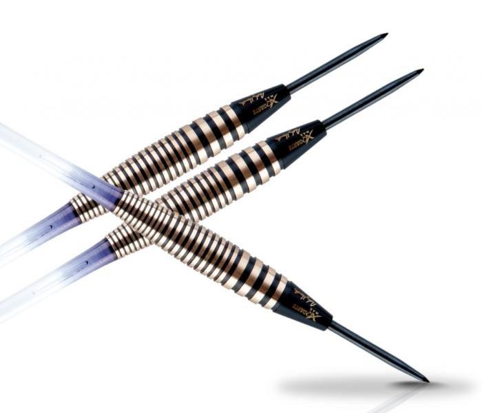 Xq Max Šipky Andy Hamilton - 21g