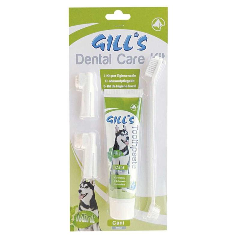 Zubní sada pasta + kartáčky (Gills dental care kit)